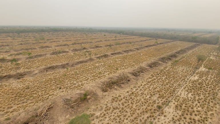 Las imágenes revelan la arraigada mala práctica de la “quema controlada”, realizada para la limpieza de malezas y posterior formación de pasturas o uso agrícola de la tierra, casi sin consecuencias para los perpetradores. En la imagen la "Estancia Chovoreca".