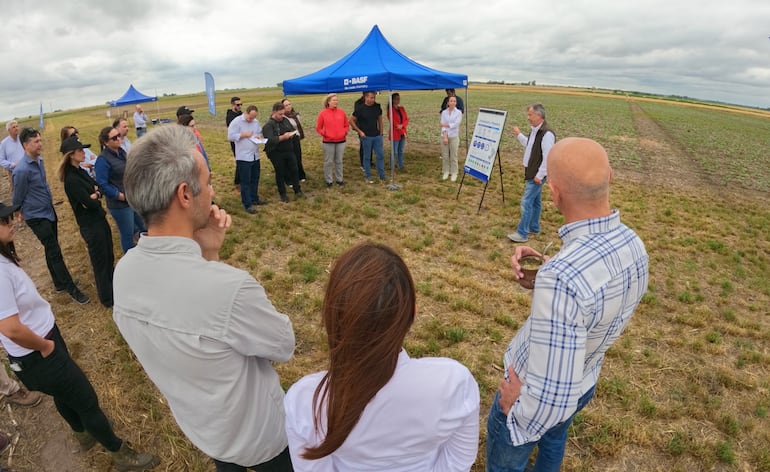 Desarrollo de variedades e híbridos de cultivos tolerantes a herbicidas, fungicidas, insecticidas, y con un mayor rendimiento a campo, se pudieron conocer en el Centro de Desarrollo Tecnológico de Rojas.