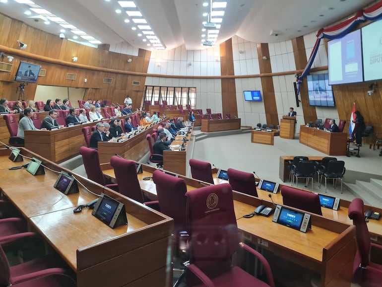 Extranjeros participaron de forma virtual en la nutrida audiencia.