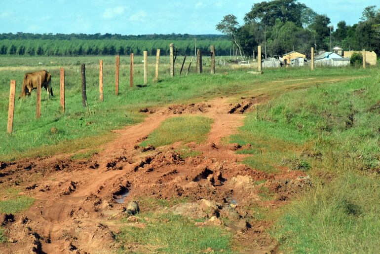 El camino evidencia el estado de abandono de la compañía Miranda Kue.