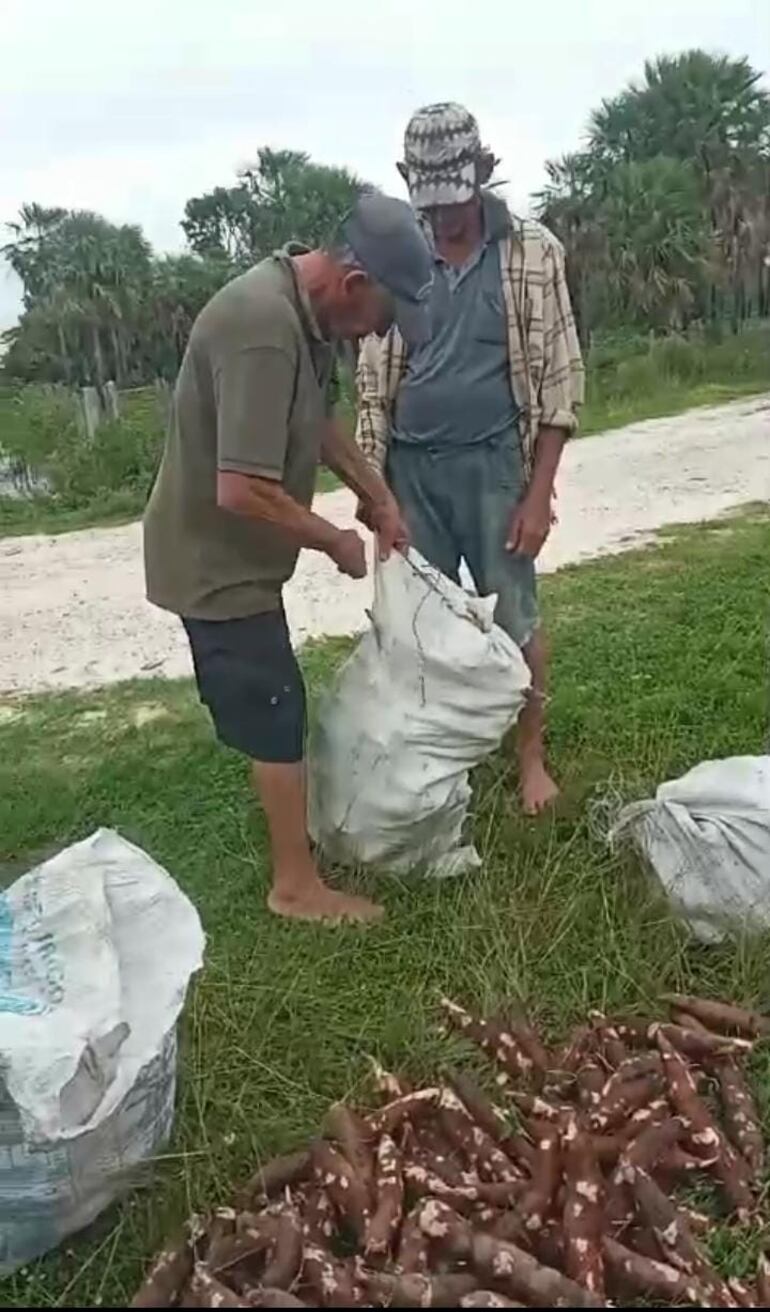 Hijo Díaz y Ramón Martínez, ambos agricultores de la zona Montuoso Costa, señalaron su preocupación por el avance de las aguas que posiblemente terminará destruyendo los cultivos de la mandioca y batata.