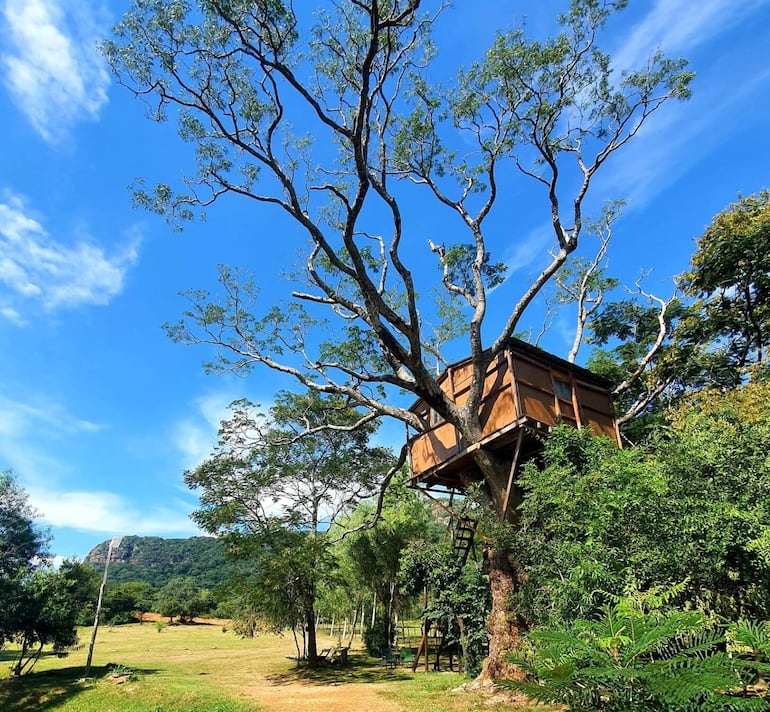 La Posada del Cerro Hu ofrece una soñada cabaña en un árbol. Este establecimiento se encuentra en el departamento de Paraguarí. 

