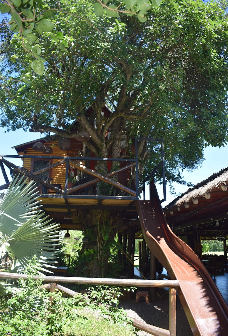 La Casa del Árbol fue construida entre dos árboles añosos y es un lujoso alojamiento hecho de madera.