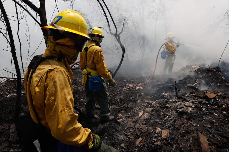 ¿Con cuántas hectáreas han arrasado los incendios forestales en Paraguay en lo que va del año?