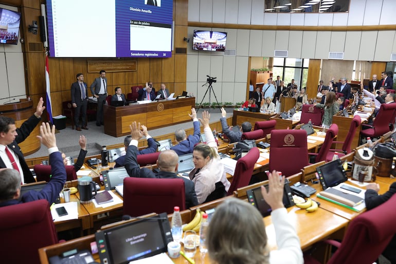 Senadores aprobaron un pedido de informes a la Senabico sobre las ONG.