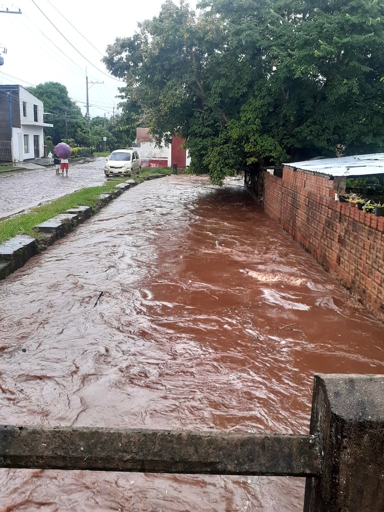 Piden que a lo largo del arroyo Capilla, sea colocado rejilla para evitar que se sigan arrojando basuras.