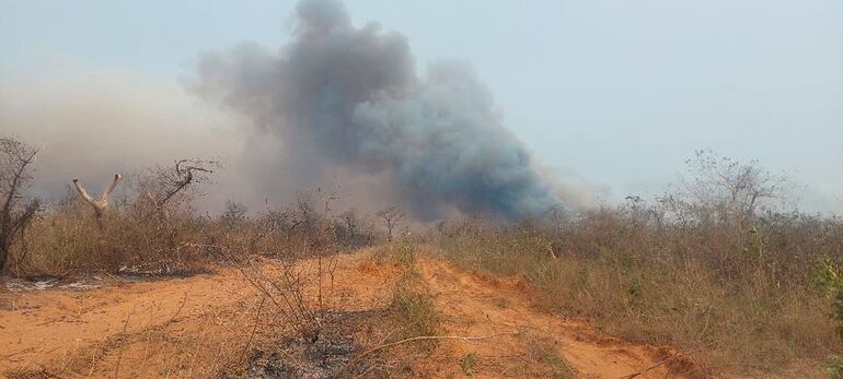 Bomberos, militares y peones de estancias de nuevo tratan de sofocar el fuego en la reserva de Chovoreca.