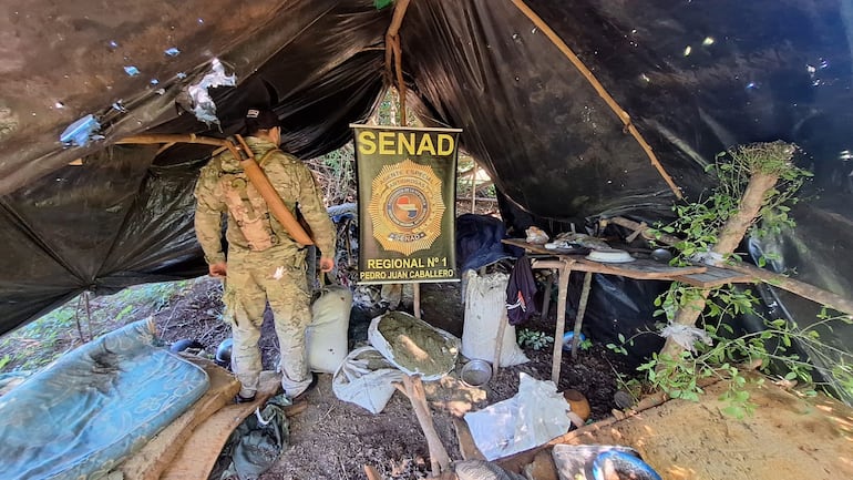 Amambay: desmantelan campamento narco en Cerro Corá y erradican 24 toneladas de marihuana