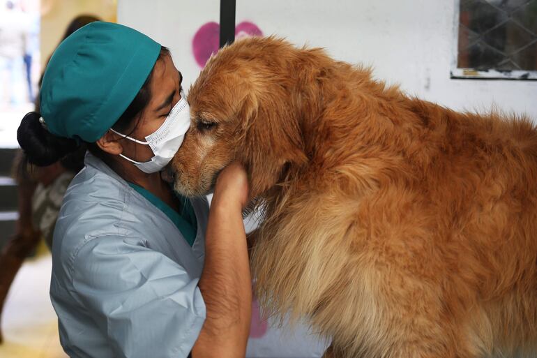 Una interna del centro penitenciario de mujeres besa a un perro en una peluquería canina en dependencias del Centro de Orientación Femenina de Obrajes hoy, en La Paz (Bolivia). Mujeres privadas de libertad de un centro penitenciario en Bolivia cumplieron este martes el "sueño" de abrir en el mismo recinto una peluquería canina que les permitirá generarse ingresos y además es parte de un programa que apuesta por la reinserción social.