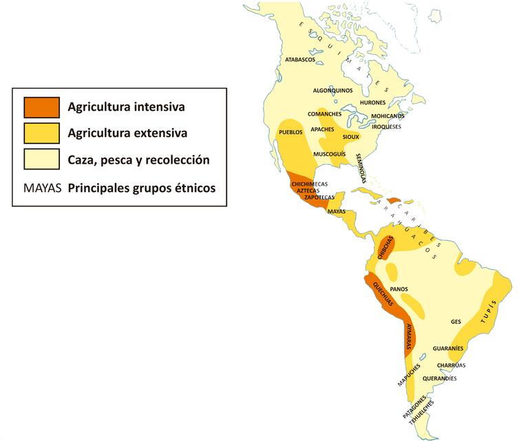 Los primeros grupos humanos en América