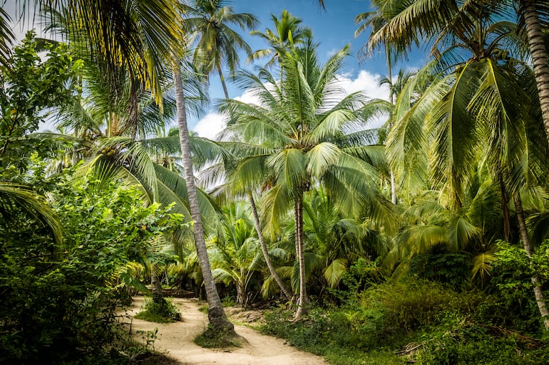 Parque Nacional Tayrona, Colombia.