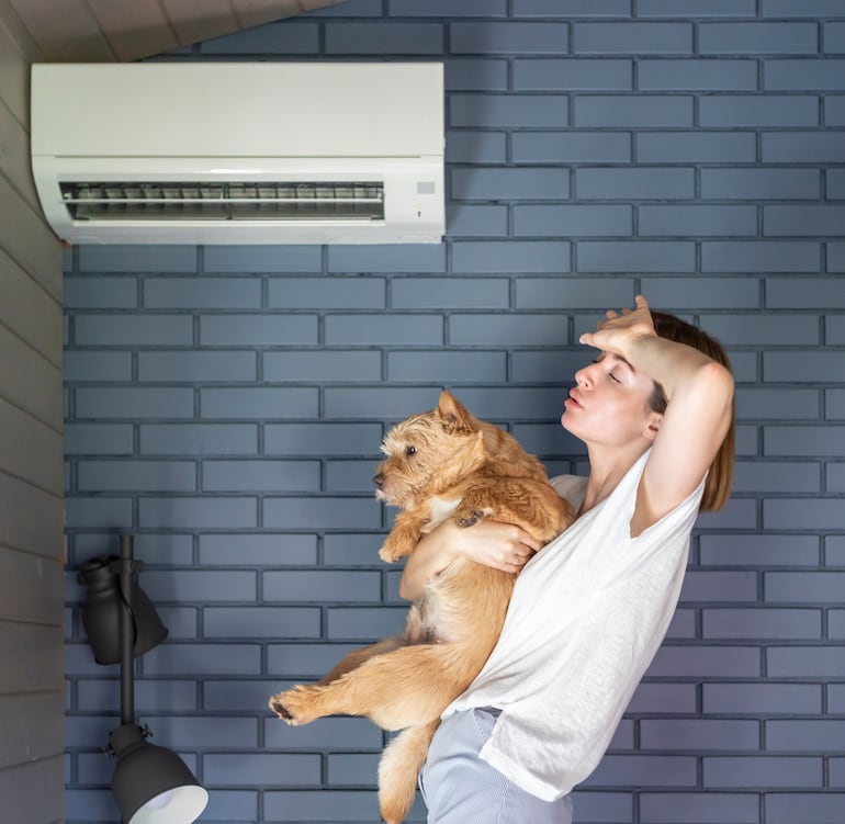 Perro se refresca con su dueña frente a un acondicionador de aire.