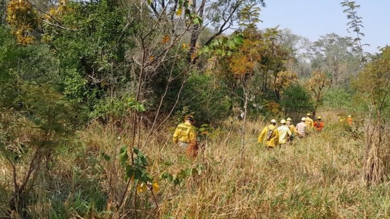 En el Parque Nacional Cerro Corá, siguen los trabajos para contener el fuego rastrero, mediante la apertura de brechas y sistemas de cortafuego. Foto: Ministerio del Ambiente.