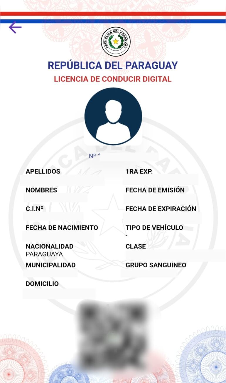 Formato digital de una licencia de conducir en el Portal Paraguay.