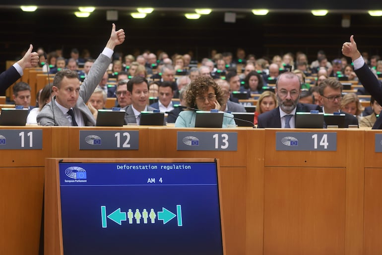 Parlamento europeo aprueba la postergación de la entrada en vigencia de la reglamentación 1115 "ley antideforestación".