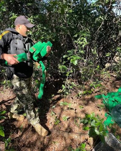 El personal de la marina con los paquetes de marihuana encontrados en Itá Corá.