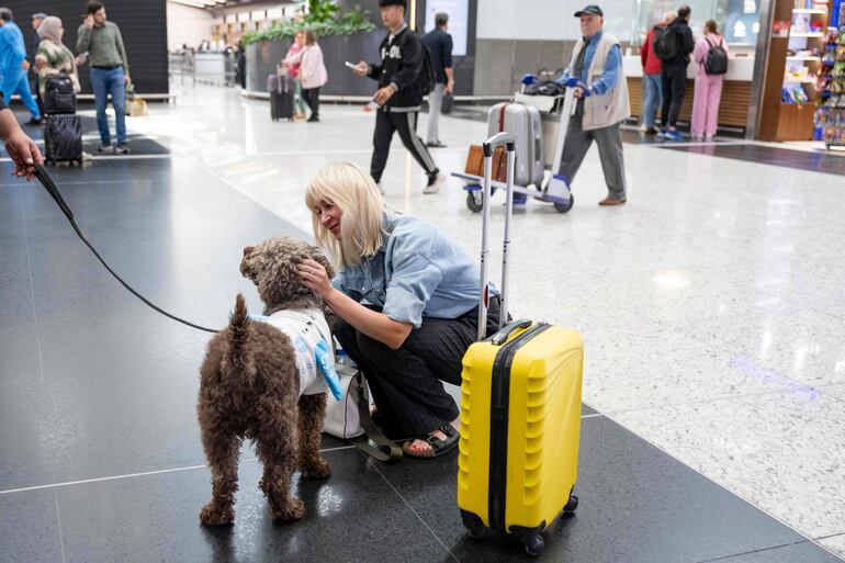 Un pasajero acaricia a un perro en el aeropuerto de Estambul, en Turquía. 