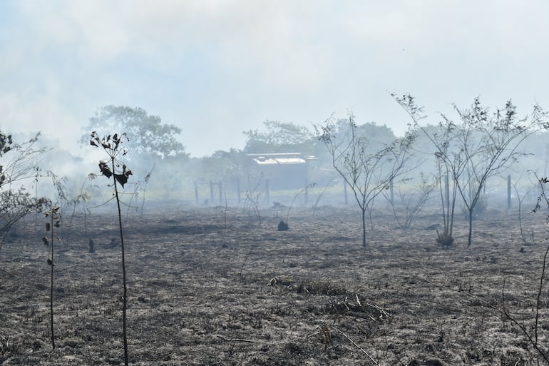 Un incendio de gran magnitud registrado ayer,  genera preocupación en Ayolas.