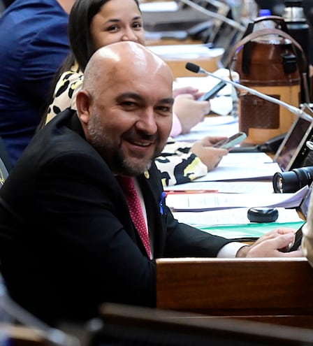 Orlando Arévalo (ANR), diputado y presidente del JEM.