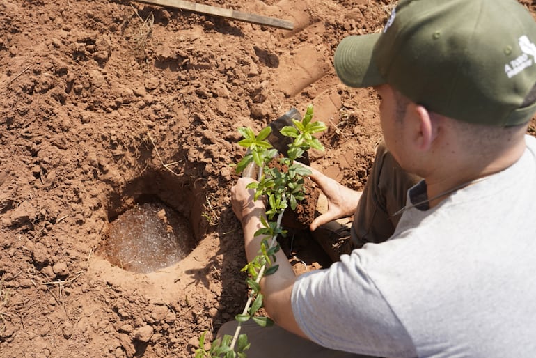 Guarapi, el pulmón  verde  donde se inició el gran sueño