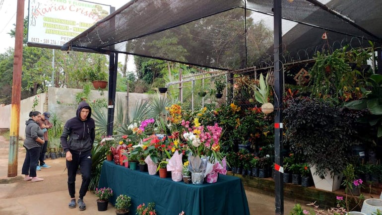 Sigue la venta de flores en la compañía Cabañas de Caacupé.