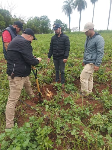 Los productores que no tengan sistema de riego están más expuestos a que registren pérdidas en sus cultivos.