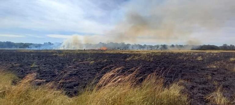 Aguardan ayuda de las municipalidades, instituciones estatales para hacer frente al servicio de casos de incendios forestales y de pastizales.