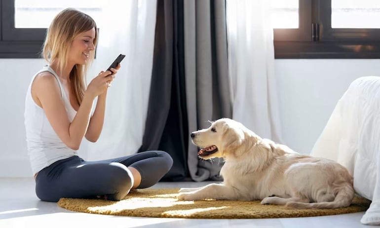 ¿Estás pensando en llevar un perro a casa?, lo primero y más importante es que te asegures de que Firulais tendrá todo lo que necesita.