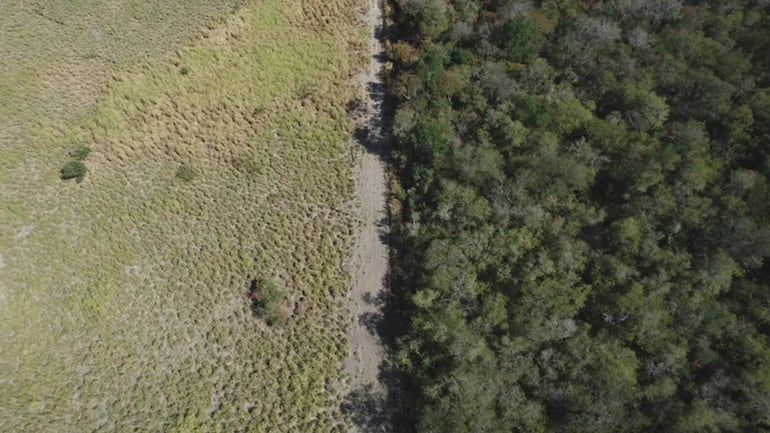 Los paisajes del Chaco son retratados por Sebastián Peña Escobar en "Los últimos".