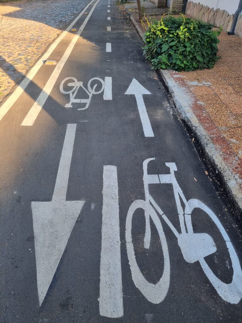 Las bicicletas y flechas pintadas en el asfaltado de la bicisenda señalan el sentido en el que deben circular las bicis, sobre la calle Sousa.