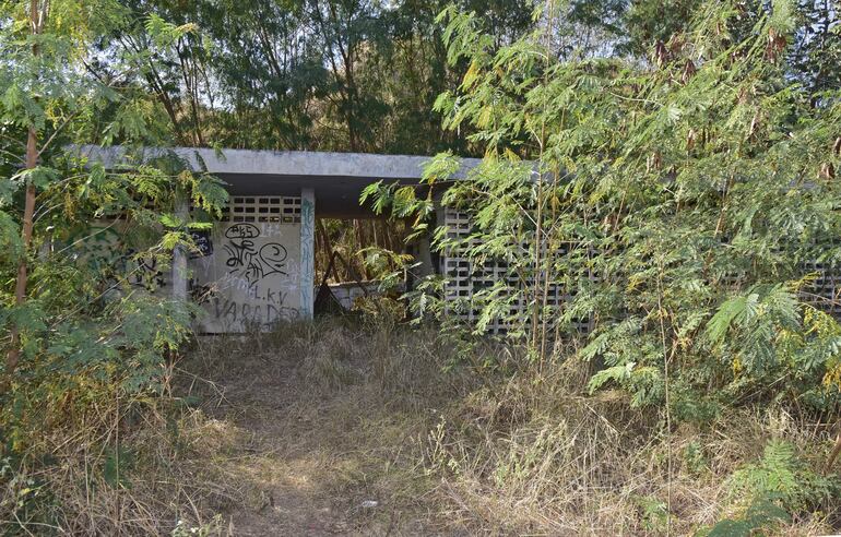 Los sanitarios se encuentran en medio de malezas, con olor nauseabundo. Sirven de refugio para adictos.