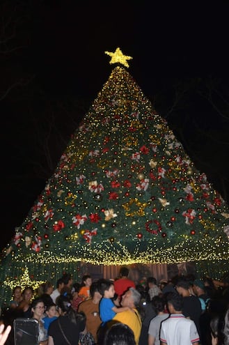 La Municipalidad de Villa Elisa habilitó el árbol de Navidad más grande de Central. Mide 13 metros de altura.