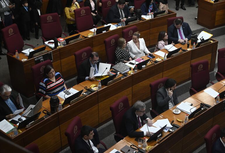 Bloque de senadores opositores y otros "satélites" del cartismo. 