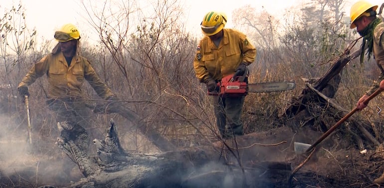 Desde hace días, los Bomberos Voluntarios de Paraguay trabajan incansablemente para sofocar las llamas en el Chaco paraguayo. 