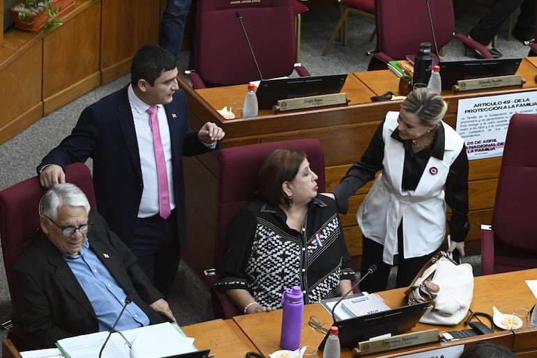 Senadores opositores dialogan con la cartista Lizarella Valiente (ANR, HC). 