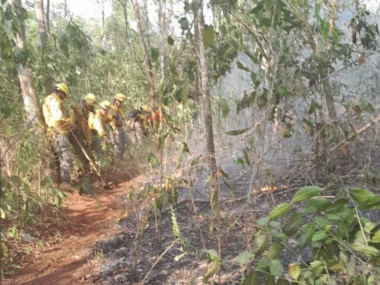 Darío Mandelbuger explicó que si bien existen varios puntos de calor, el único parque nacional donde actualmente hay fuego real es el Parque Cerro Corá.