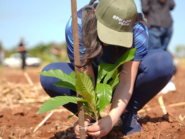 Paraguay planta árboles a todo pulmón