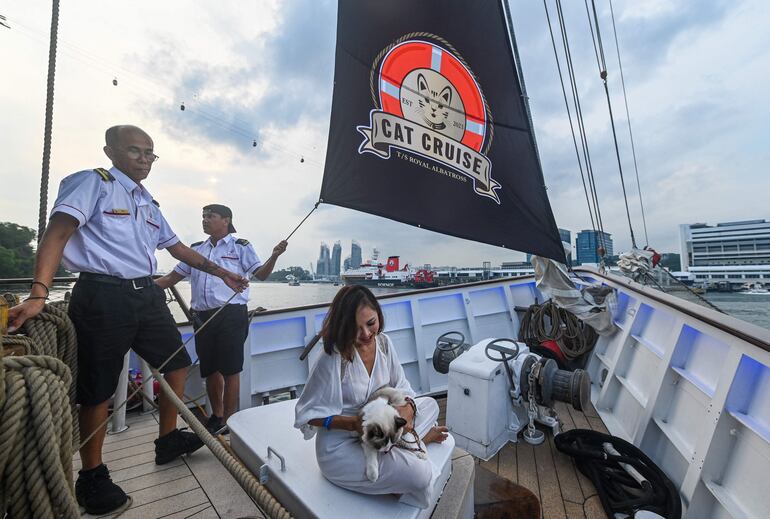 Una turista sostiene a su gato mientras le toman una foto en el Royal Albatross, un crucero de lujo. 