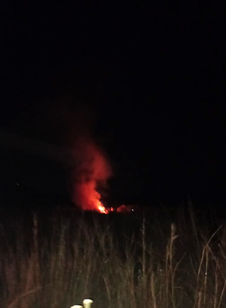 El incendio se sofocó antes que se propague hasta el refugio de perros y gatos.