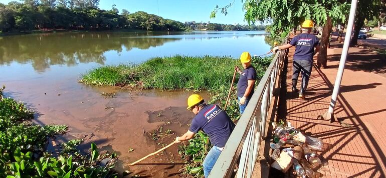 Esta mañana operarios de una firma al servicio de Itaipú realizaron limpieza en la zona donde había mortandad de peces. 