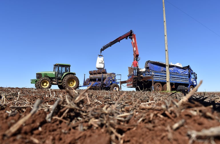 El último reporte de la Unión de Gremios de la Producción (UGP) refiere que  las condiciones climáticas impidieron una siembra uniforme en este ciclo agrícola.