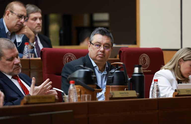 Senadores . Gentileza Prensa Senado