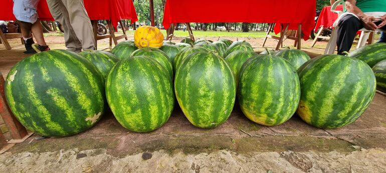 Tercera edición de la Fiesta Nacional de la Sandia en Santa Maria, Misiones.