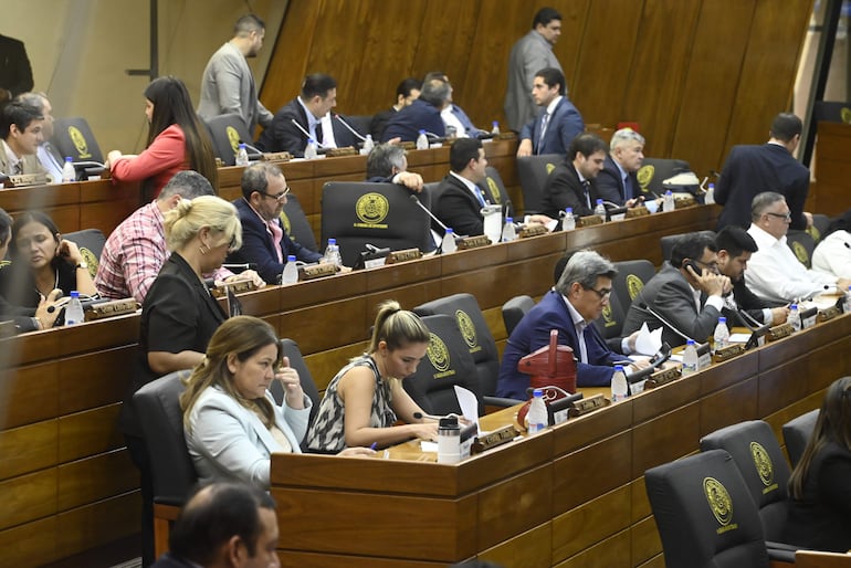 Los diputados rechazaron los mayores aportes a los partidos políticos, para el Ministerio de la Mujer, pero aprobaron G. 3.500 millones más para pasajes y viáticos de parlasurianos.