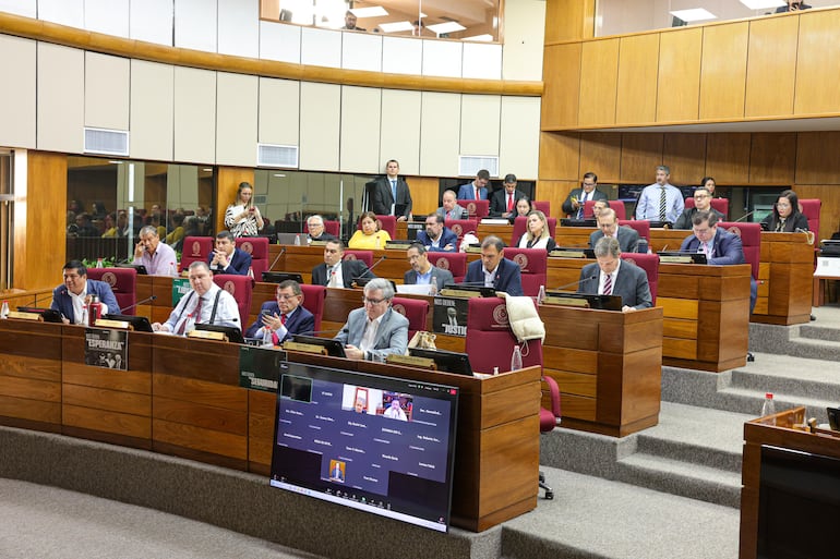 Miembros de varias comisiones asesoras reunidas ayer para dictaminar el proyecto de ley de Registro Unificado Nacional (RUN).