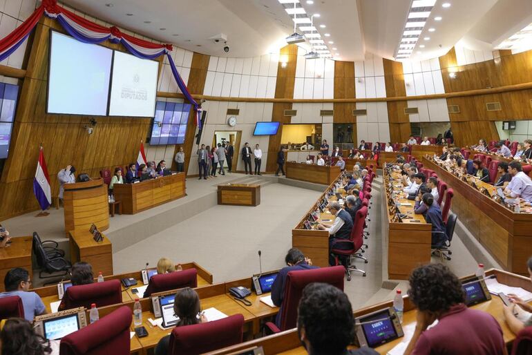 Audiencia Pública sobre la ley "Hambre cero" en el senado.