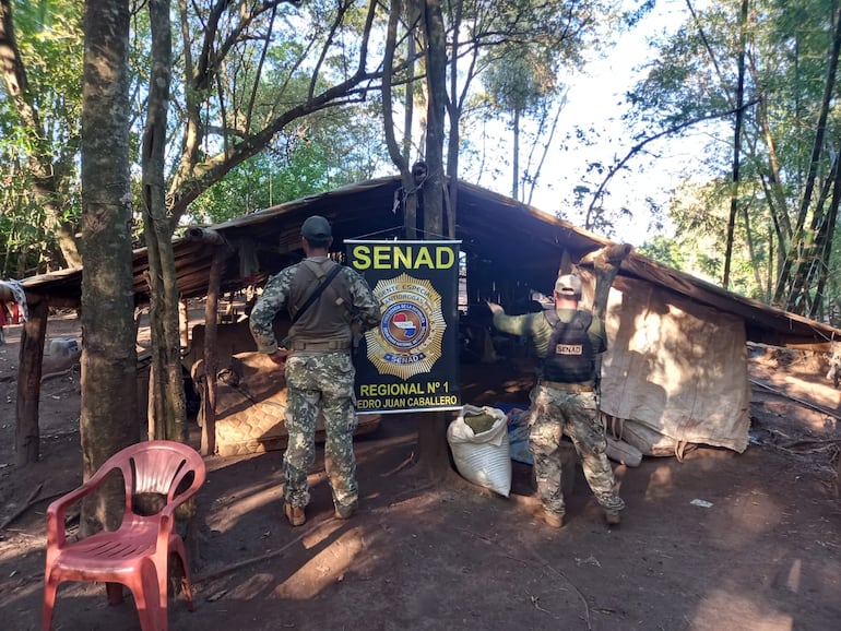 Uno de los campamentos encontrados en la colonia San Fernando, distrito de Capitán Bado.