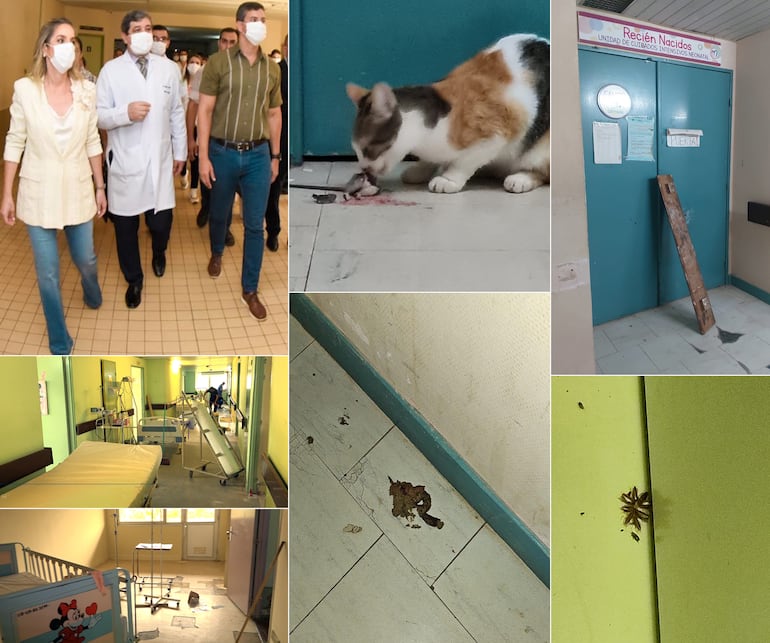 Ratas, cucarachas, gatos cazando, heces de animales y otras inmundicias, son comunes en el Hospital Nacional.