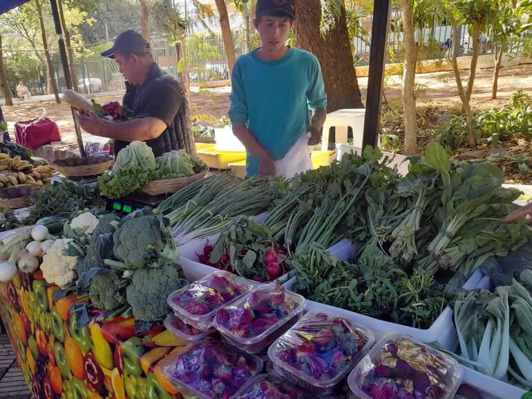 En la foto Don Fabio y Manuel del Comité de Producción de Altos. Cada destacar que en la Feria habrá hortalizas y verduras, frutas, miel de abeja y miel negra, huevo casero, harina de maíz y queso Paraguay, artesanías en tacuara, diversos tejidos, karanda’y, y alimentos elaborados de forma artesanal, tradicionales y veganos.