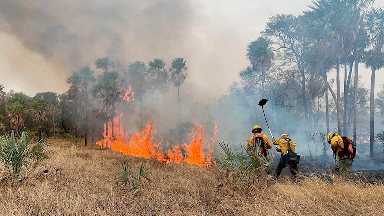 De nuevo se activo el fuego en la zona de Toro Pampa del distrito de Fuerte Olimpo.